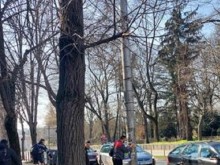 Общинската полиция в Добрич отново залови нарушители