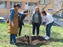 Залесителна акция в Градския парк проведе Община Разград