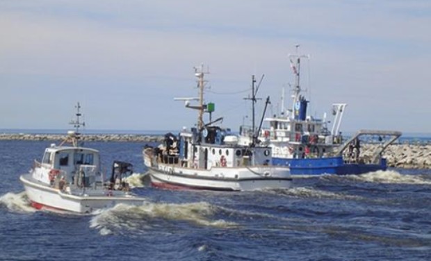 TD В пристанище Констанца остават По случая тече разследване Плавателните съдове