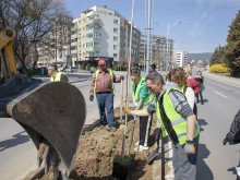 Стотици се включиха в инициативата "Заедно за една по-чиста Стара Загора"