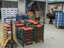От най-голямата зеленчукова борса в България: Цените на доматите падат, най-вкусният обаче липсва