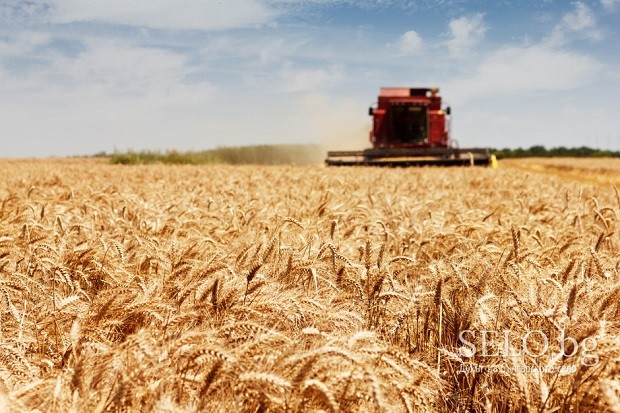 Кардам ще бъде една от точките на националния протест на зърнопроизводителите