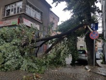 Оранжево предупреждение за Пловдив и още 7 области!
