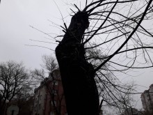Страховити кадри от Кючука!