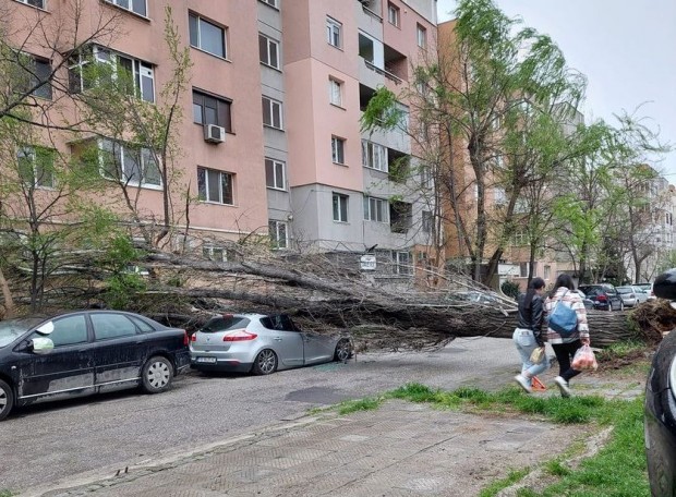 Аварийните екипи на община Пловдив се борят с щетите от бурята