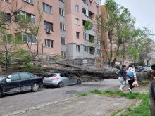 Аварийните екипи на община Пловдив се борят с щетите от бурята