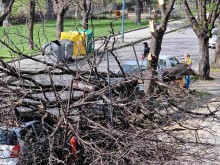 Още няколко автомобила паднаха жертва на силния вятър в Пловдив
