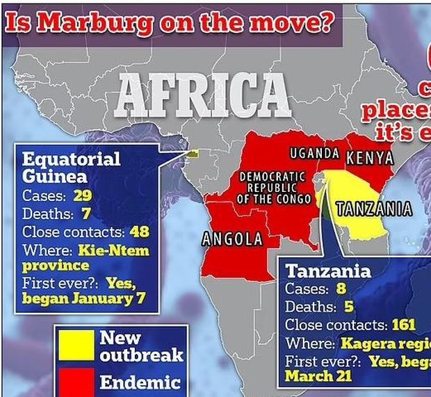 СЗО: Рискът от вируса "Марбург" е "много висок" на фона на смъртоносната вълна в Африка