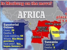СЗО: Рискът от вируса "Марбург" е "много висок" на фона на смъртоносната вълна в Африка