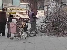 Жители на Пловдив товарят на бебешки колички остатъци от дърво след бурята