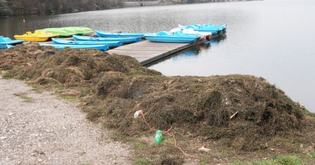 Ще се превърне ли Панчарево в блато от наноси, водорасли и боклуци