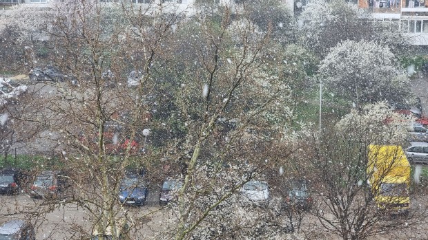 Сняг на парцали зарадва жителите на Варна днес следобед Само