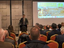 Министър Стоянов: Оборотът на български храни бележи рекорд