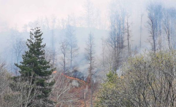 Пожар в горски масив между Стрелча и Копривщица, видя зрител