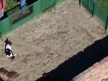 ������ ������� ���������: ������������� �� ������, �� ����������������� �� �� ������ � ���� ������