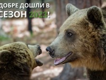 Мечоците в Белица се събудиха