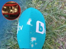 Микрофон на bTV падна жертва