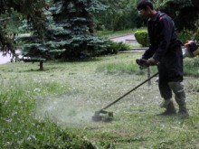 Започва обработка на тревните площи срещу кърлежи във Варна