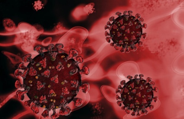 Ваксина срещу коронавирус под формата на назален спрей, разработена в