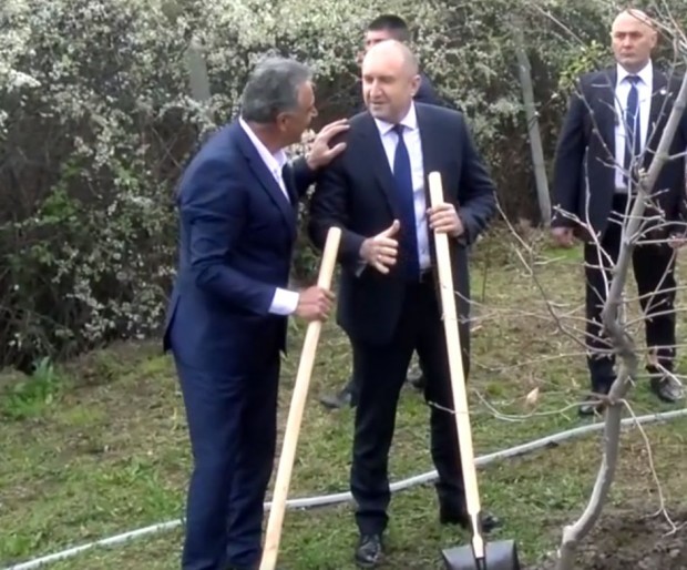 TD Президентът засади дърво в TEZ Event Center край Пловдив  В