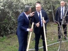 Президентът засади дърво край Пловдив