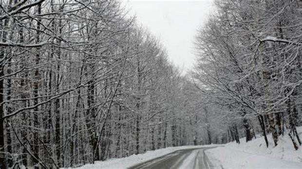 Опесъчават пътищата в Природен парк Витоша заради снега