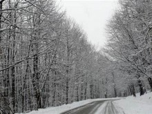 Опесъчават пътищата в Природен парк Витоша заради снега