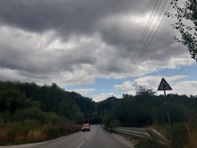 Сърна е ударена от автомобил по пътя Смолян - Пловдив