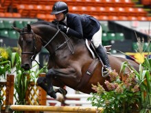 Без Русия и Беларус на състезания с коне