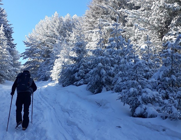 Добри са условията за зимни спортове в планините съобщават от