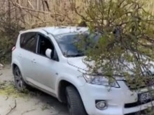 ��������� �� ����� ������� �� � ����, ���� ���� ����� ����� ����� ���������� ��