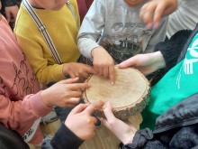 В Странджа учат децата как се възстановява гора след пожар