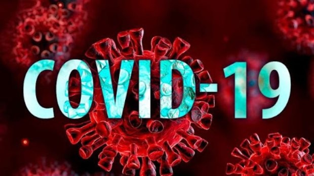 ������������ �������: ��� ��� � ��������� COVID-19