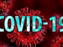 COVID-19 e тръгнал от заразено животно към човек