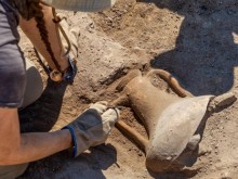 Младежи от Крушари участват в археологически лагер в Румъния