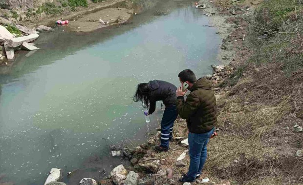 Проверяват сигнал за мъртва риба в Пловдивско