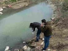 Проверяват сигнал за мъртва риба в Пловдивско