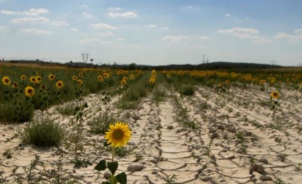България има проблеми със засушаването Това каза в предаването Денят