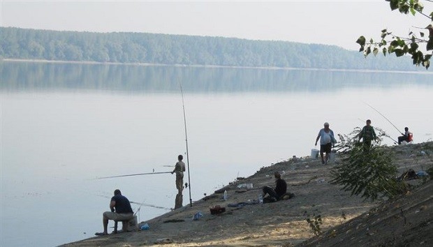 </TD
>Силен риболов правят фидеристи по Дунав в района на Русе, съобщават от Съюз на ловците