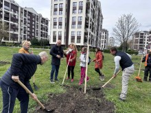 Нови медоносни дръвчета засадиха в Пловдив