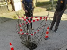 Пловдивчанка: В Кючука се отвори "входа на Ада"