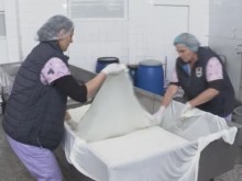 Нов продукт на пазара - свежо прясно мляко, колко ще ни струва?