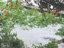Започна се! Градушка удари Североизточна България