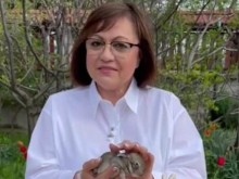 Корнелия Нинова направи видеообръщение