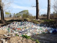 Паднала в река върба събра огромно количество пластмасови отпадъци