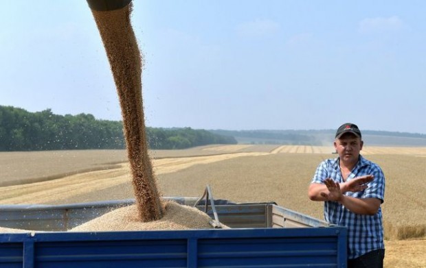 Източноевропейците се сблъскват с гнева на Брюксел със забраната за внос на украинско зърно