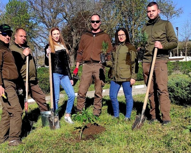 В по-зелен град се превръща Свищов с изграждането на зелени коридори