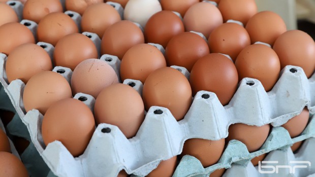 Обяви за евтини яйца заляха интернет порталите за продажби непосредствено