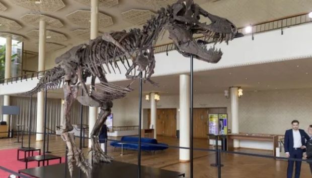Скелет на 67 милиона годишен тиранозавър рекс беше продаден на