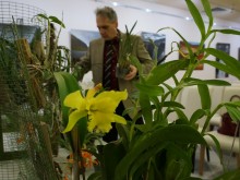 Варна ще е домакин на Първия орхидеен фестивал в България